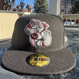 Lehigh Ironpigs fitted hat! NWT!